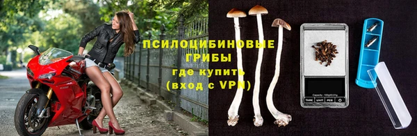 стафф Белоозёрский