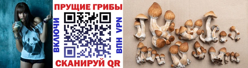 где продают наркотики  Билибино  Галлюциногенные грибы мухоморы 